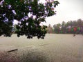 Rainy day at Chattogram Pond Royalty Free Stock Photo