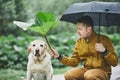 Rainy day with dog in nature Royalty Free Stock Photo