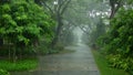 Rainy Day in a empty park in signapore