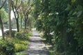 Rainy Day in a empty park in signapore