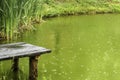 Rainy day in a green landscape Royalty Free Stock Photo