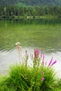 Rainy day at Hintersee Lake, Bavaria, Germany