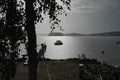 A rainy day, large drops of rain fell on the lake