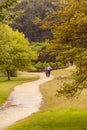 A rainy day in a nature park where a couple sharing an umbrella Royalty Free Stock Photo