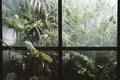 Rainy Day with nature plant in the window