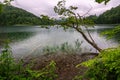 Rainy Day on Plitvice Lakes National Park