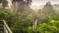 Rainy day in rainforest, wiew from the Canopy Walk Tower In Sepilok, Borneo