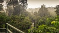 Rainy day in rainforest, wiew from the Canopy Walk Tower In Sepilok, Borneo