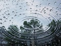 Rainy Day Reflections: Concentric Ripples and Water Droplets on a Glass Surface with Blurry Tree and Sky Background Royalty Free Stock Photo