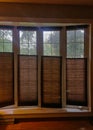 Rainy day seen from inside looking out of windows, with cordless brown shades lowered from top, and green leaves on trees outside.