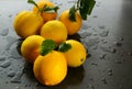 Rainy day still life of sunny yellow Meyer lemons Royalty Free Stock Photo