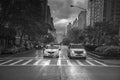 Rainy day street scene at Park Avenue New York City, Black and W Royalty Free Stock Photo