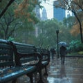 Rainy day stroll A distant figure approaching a Central Park bench Royalty Free Stock Photo