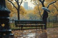 Rainy day stroll A distant figure approaching a Central Park bench Royalty Free Stock Photo