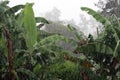 Rain in Papua New Guinea Royalty Free Stock Photo