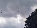 Rainy Day View: Water Drops on Window Against Cloudy Sky Royalty Free Stock Photo