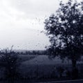 Rainy day window with field countryside view Royalty Free Stock Photo