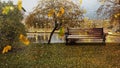 Rainy drops on glass window on front  street bench and wet trees with yellow leaves fall  green grass  houses  Autumn weather back Royalty Free Stock Photo