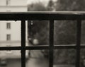 rainy drops window black and white photography Royalty Free Stock Photo