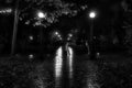 Rainy Evening Reverie: City Park Silhouettes