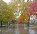 Rainy fall days ahead Royalty Free Stock Photo