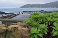 Rainy fishing harbor style. Royalty Free Stock Photo