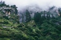 Rainy foggy himalayan forest near Manali, India