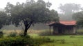 Rainy Forest Hut, Mist, Green Field, Shelter Royalty Free Stock Photo