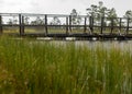 Rainy and gloomy day in the swamp, wooden bridge over the swamp ditch, blurred swamp grass and moss in the foreground, foggy and