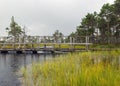 Rainy and gloomy day in the swamp, wooden bridge over the swamp ditch, blurred swamp grass and moss in the foreground, foggy and