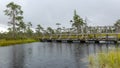 Rainy and gloomy day in the swamp, wooden bridge over the swamp ditch, blurred swamp grass and moss in the foreground, foggy and