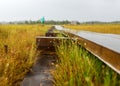 Rainy and gloomy day in the swamp, wooden bridge over the swamp ditch, blurred swamp grass and moss in the foreground, foggy and