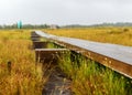 Rainy and gloomy day in the swamp, wooden bridge over the swamp ditch, blurred swamp grass and moss in the foreground, foggy and