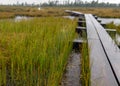 Rainy and gloomy day in the swamp, wooden bridge over the swamp ditch, blurred swamp grass and moss in the foreground, foggy and