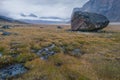 Rainy, hazy day in remote arctic valley of Akshayuk Pass, Baffin Island, Canada. Moss and grass in autumn colors