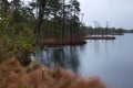 Rainy morning in Kakerdaja Bog