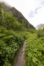Rainy path in a forest in the mountains Royalty Free Stock Photo