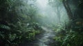 Rainy Path Through a Lush and Foggy Tropical Forest Royalty Free Stock Photo