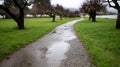 Rainy path through an orchard with trees and wet grass. Royalty Free Stock Photo