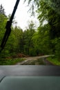 Rainy road in the forest