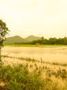 During the rainy season, many rice fields and gardens are flooded which makes most farmers fail to harvest.Ã¯Â¿Â¼