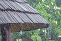 Rain drops from the bamboo roof. Royalty Free Stock Photo