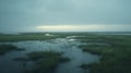 Gloomy Marsh Photo In Taylor Wessing Style