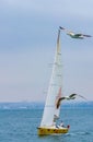 Yacht and birds at Marmara Sea Istanbul Turkey