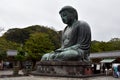 Rainy and stormy day at Buddha of Kamakura