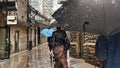 Rainy street people walk with umbrellas rain drops medieval autumn rainy season city Tallinn old town