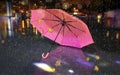 Rainy street pink umbrella reflection wet asphalt city night raindrops water reflection autumn leaves  fall season city evening li Royalty Free Stock Photo