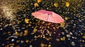 Rainy street reflection wet asphalt city night raindrops water reflection autumn leaves  fall season city evening light blurred  l Royalty Free Stock Photo