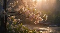 Rainy sunny day, spring tree flowers, beautiful landscape photo