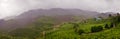 Rainy Tea Estate in Malaysia